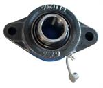 1"  2 Bolt Flange Bearing